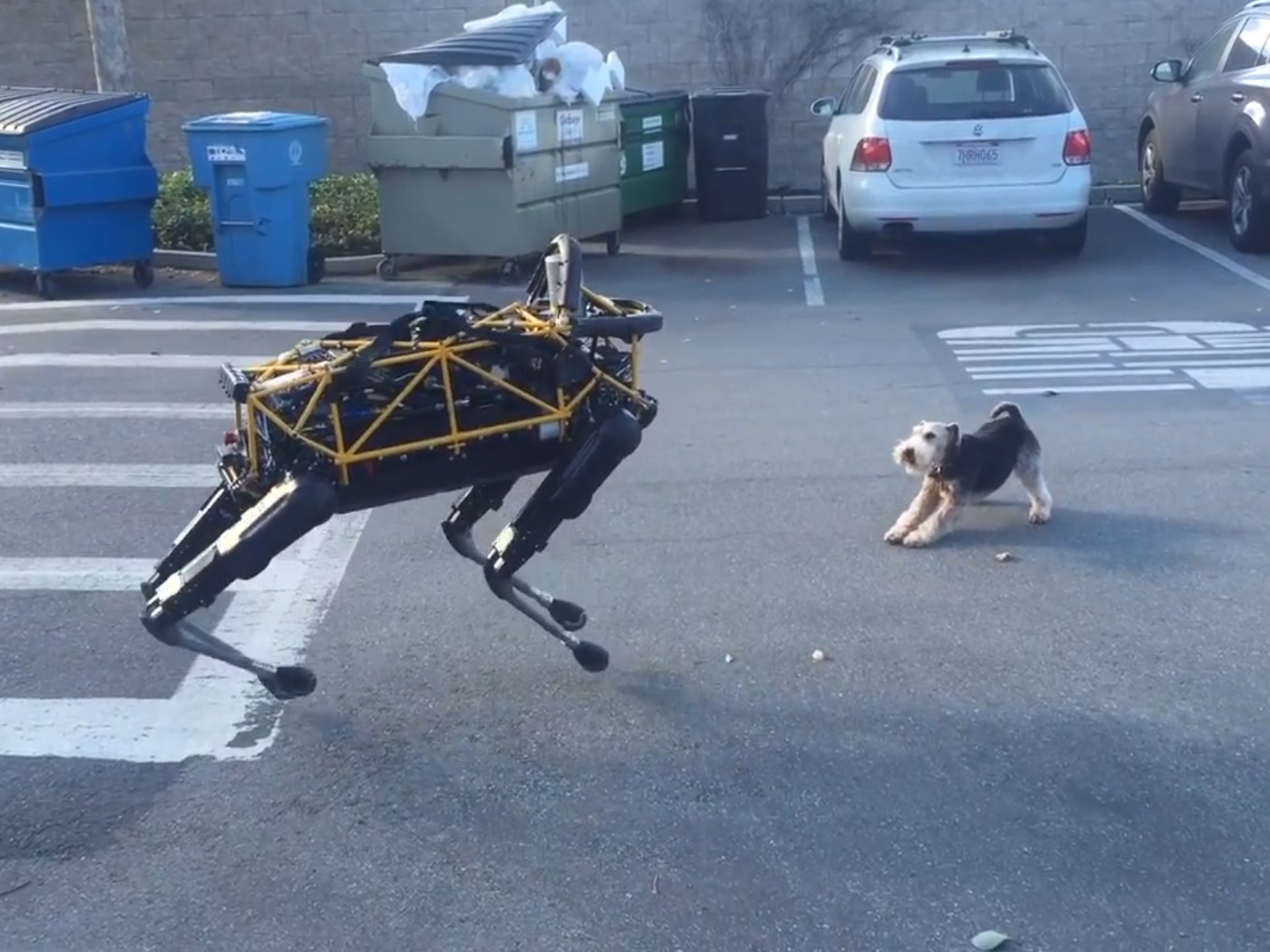 Google's robodog