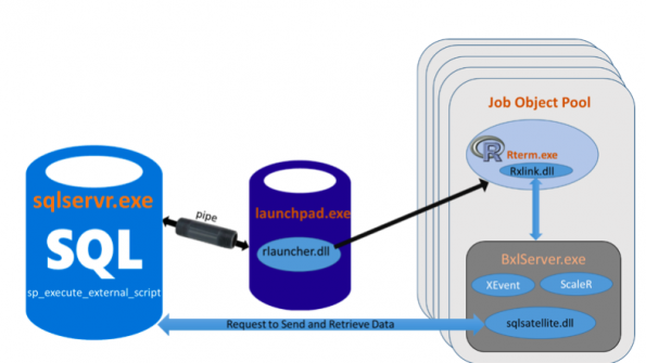 database management